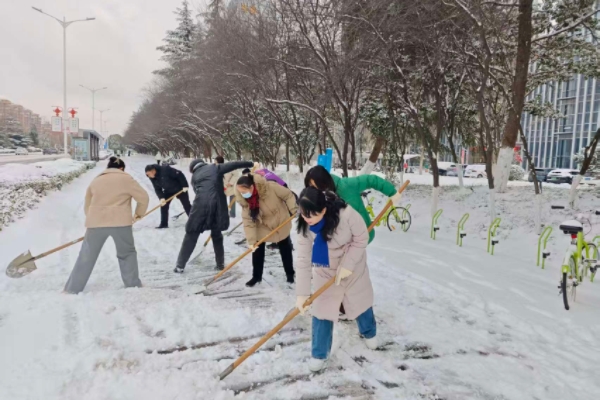 以雪为令齐上阵 巾帼行动暖寒冬