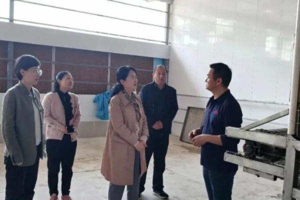 淮南市妇联深入开展访企入村活动