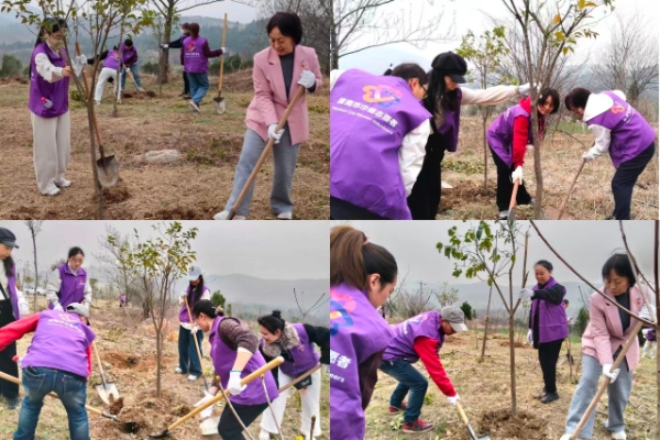 淮南市妇联开展“绿满江淮 巾帼添彩”义务植树暨主题党日活动