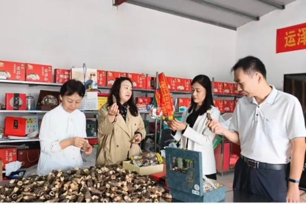 市妇联赴大通区调研
